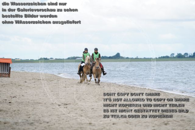 s_K3F04998.JPG